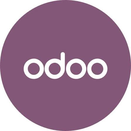 Odoo ERP and Website Design and Development
