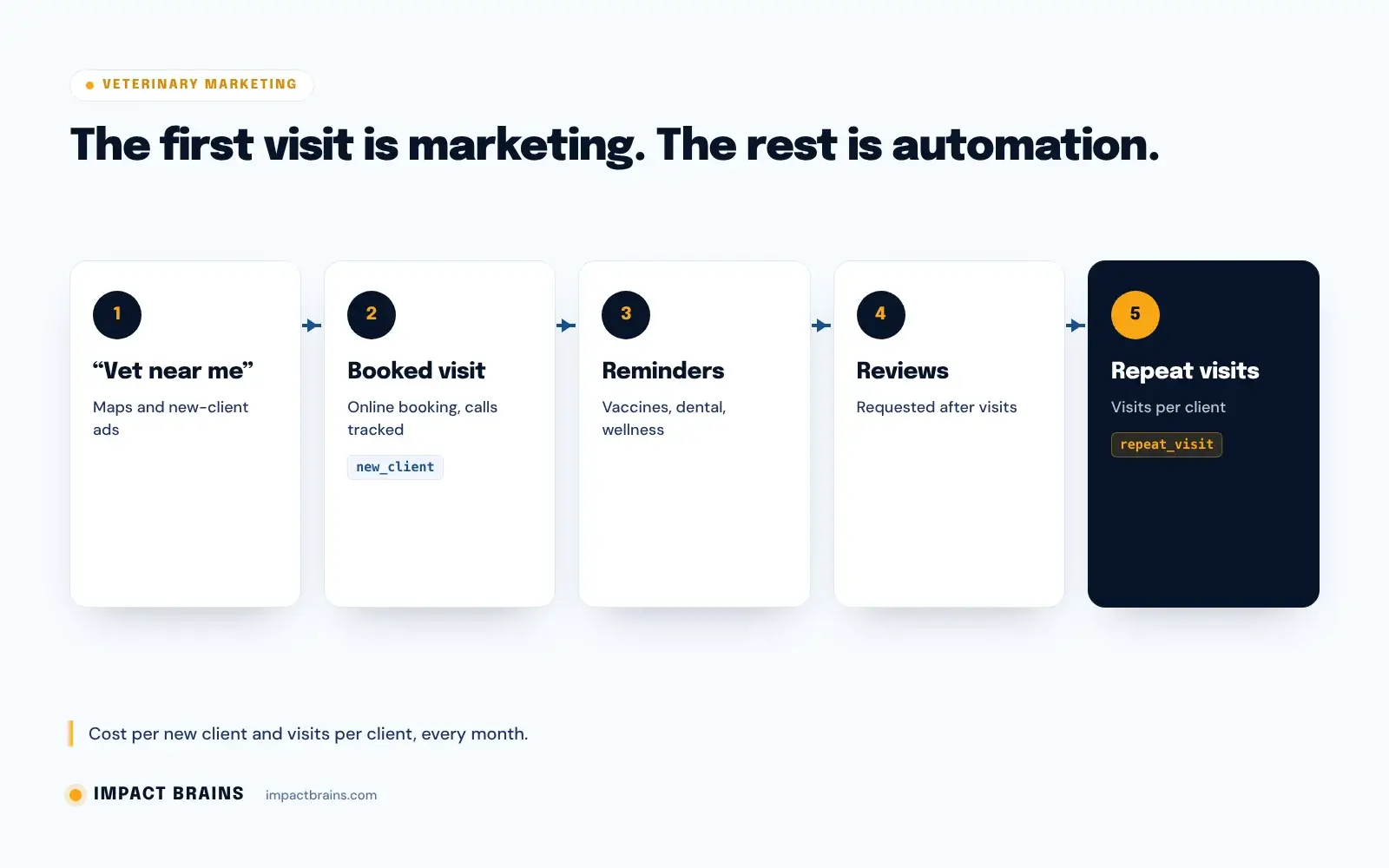 Veterinary client lifecycle: local search and ads bring a new client, followed by automated vaccination, dental and wellness reminders, review requests and repeat visits